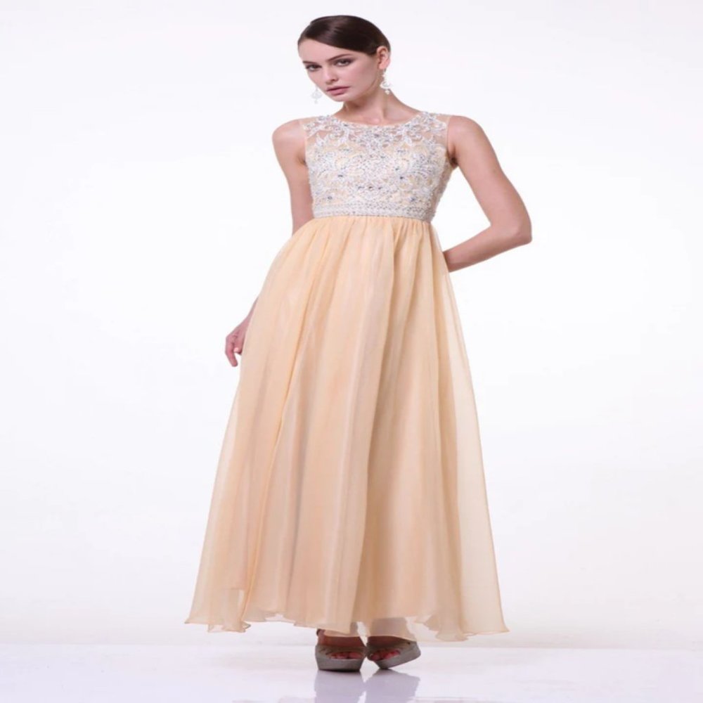BEADED LONG SLEEVELESS ILLUSION DRESS BY CINDERELLA DIVINE J710